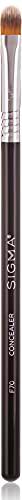 Sigma - Pincel corrector